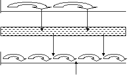 cmv_b1