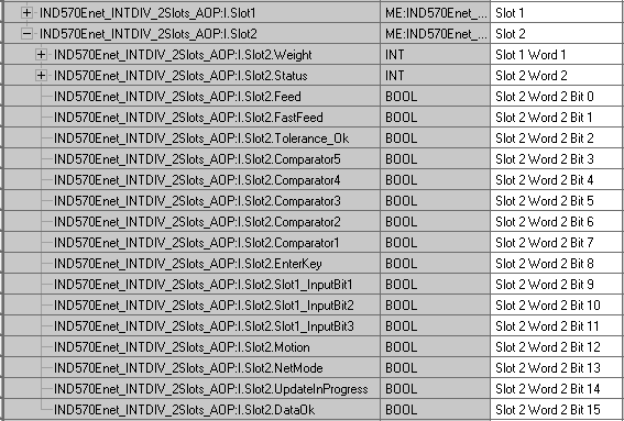 IntegerDivisionInputTag