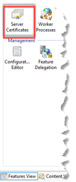 server certificate in IIS