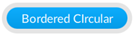 Blue circular button with white border labeled Bordered Circular