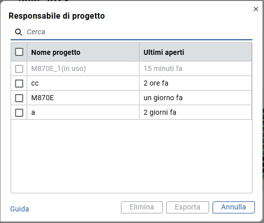 Responsabile di progetto
