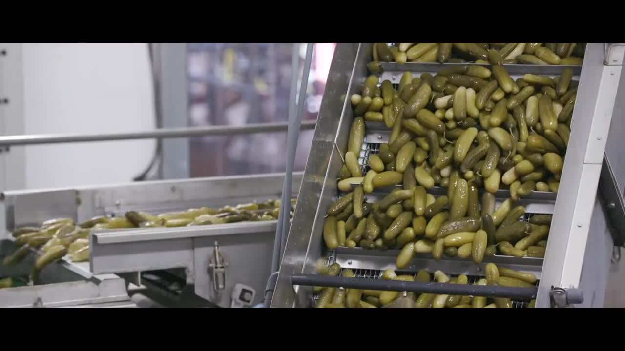 Hausbeck Pickles And Peppers Gains Real Time Production Visibility And Traceability Plex