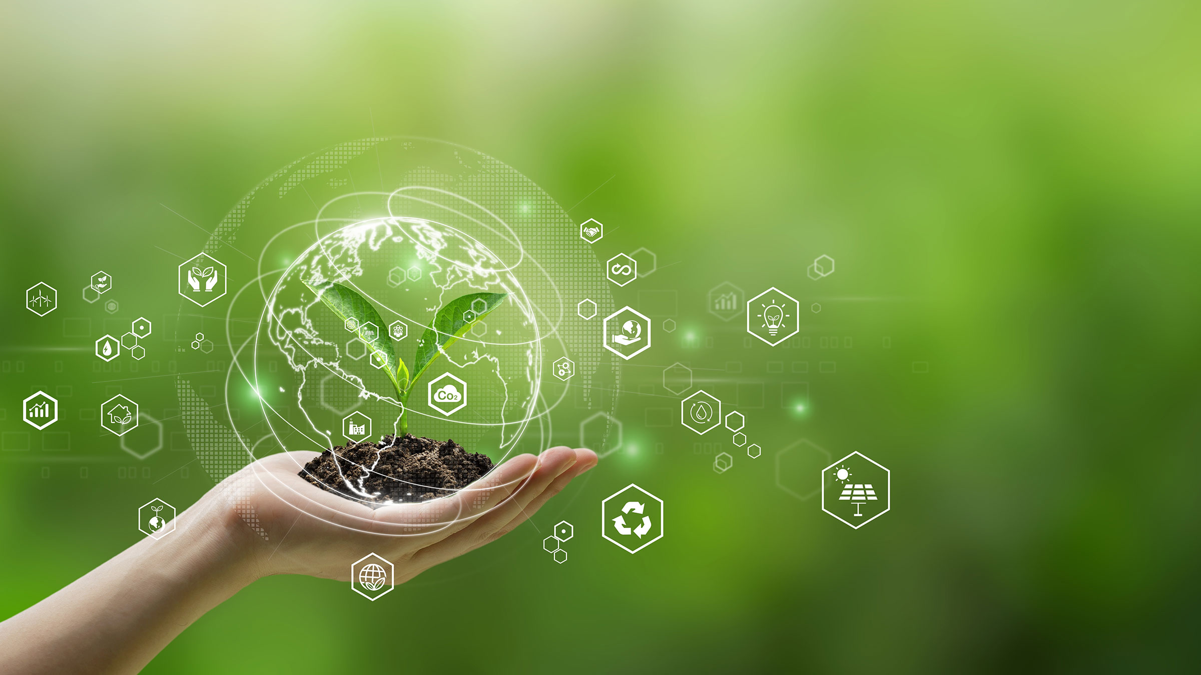 Balancing Sustainability and Efficiency in Packaging Processes